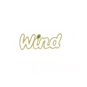 Emblema WIND Corsa 1994 a 2002 Cinza e Verde Adesivo