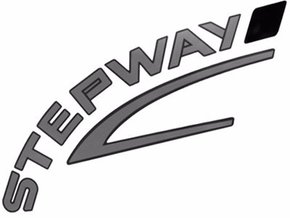 Emblema STEPWAY Sandero Mala 2007 a 2010 Adesivo