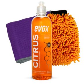 Kit Limpeza Externa Premium – EVOX