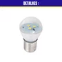 Lâmpada Led Luz Branca 1 Polo Avulsa 12V
