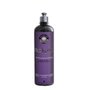 Neoblack Revitalizador e Protetor de Plástico Externo 500ML EASYTECH